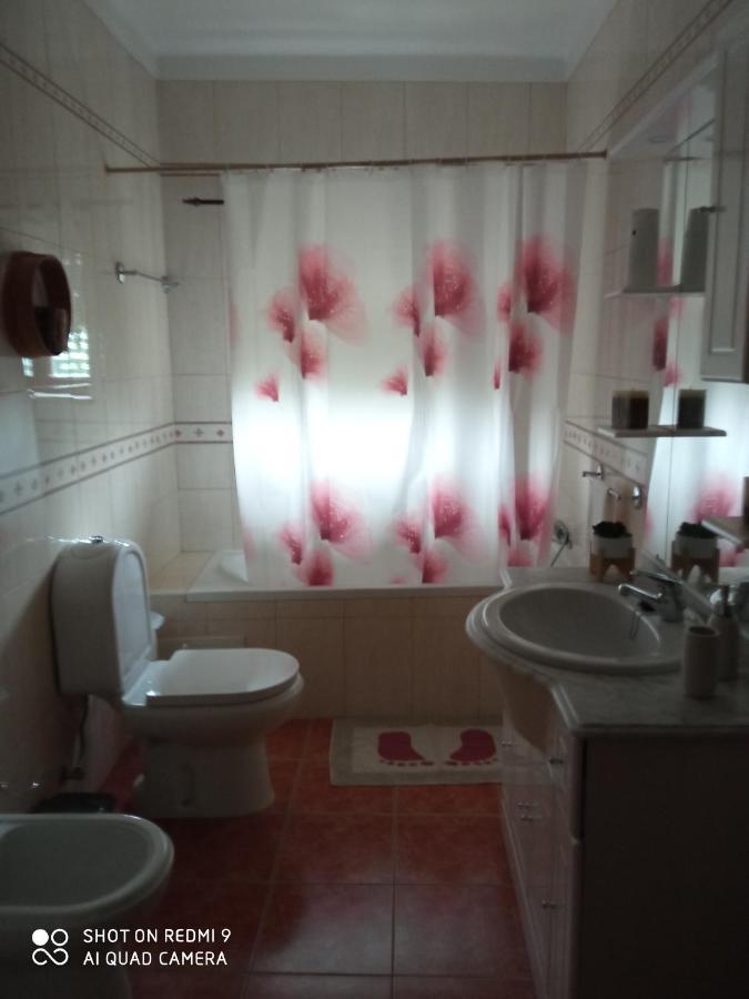 Casa Dos Grilos Penacova Bagian luar foto