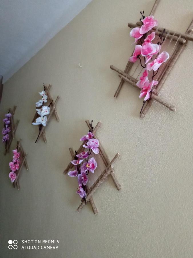 Casa Dos Grilos Penacova Bagian luar foto